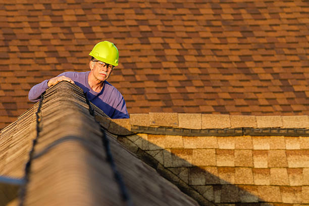 Best Metal Roofing Contractor  in Iona, ID